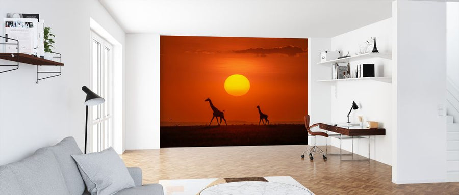 PHOTOWALL / Giraffes in the Sunset (e324124)