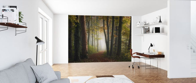 PHOTOWALL / Autumn Colorful Forest (e324125)