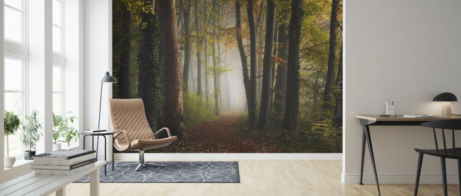 PHOTOWALL / Autumn Colorful Forest (e324125)