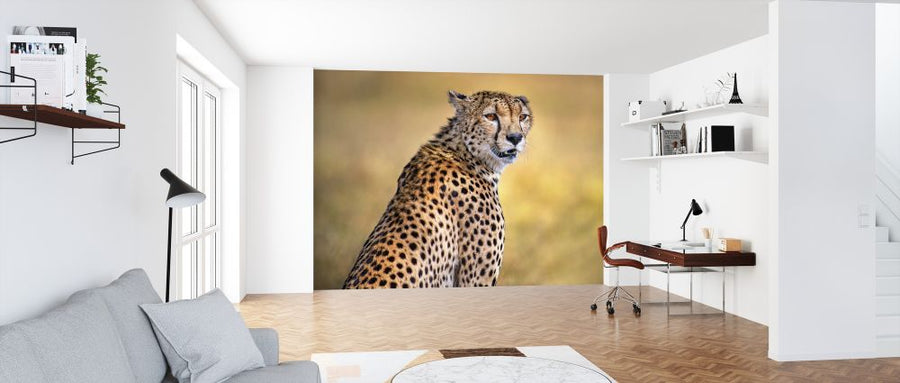 PHOTOWALL / Cheetah Portrait (e324130)