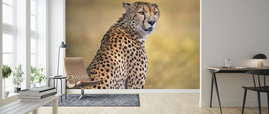 PHOTOWALL / Cheetah Portrait (e324130)