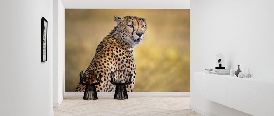 PHOTOWALL / Cheetah Portrait (e324130)