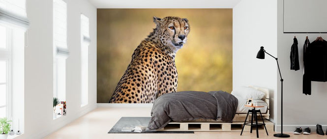 PHOTOWALL / Cheetah Portrait (e324130)