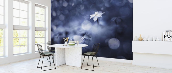 PHOTOWALL / Sparkling Background (e324131)