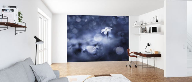 PHOTOWALL / Sparkling Background (e324131)