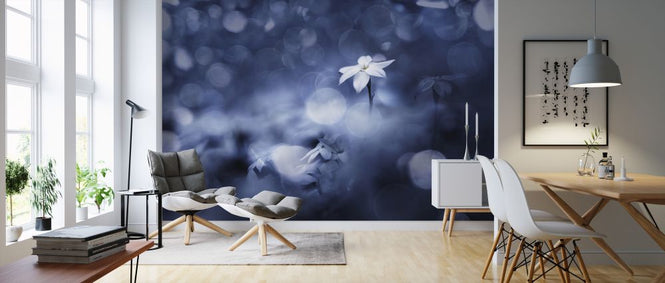 PHOTOWALL / Sparkling Background (e324131)