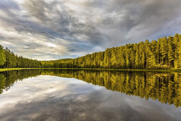 PHOTOWALL / Summer Lake 5 (e325101)