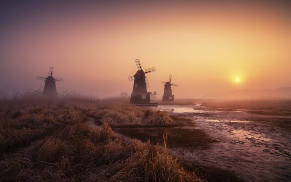 PHOTOWALL / Foggy Morning (e324428)