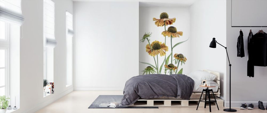 PHOTOWALL / Helenium (e324435)