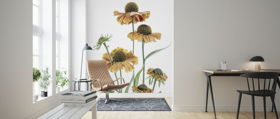 PHOTOWALL / Helenium (e324435)