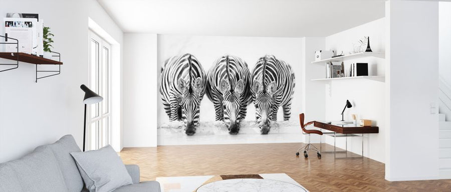 PHOTOWALL / Zebras (e324437)