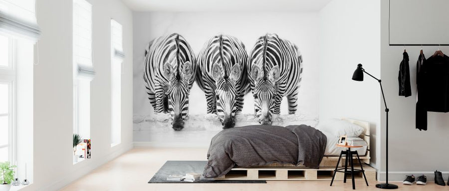 PHOTOWALL / Zebras (e324437)