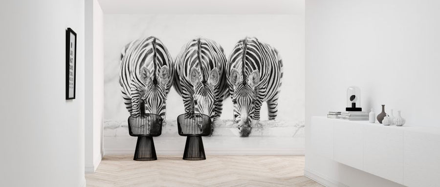 PHOTOWALL / Zebras (e324437)