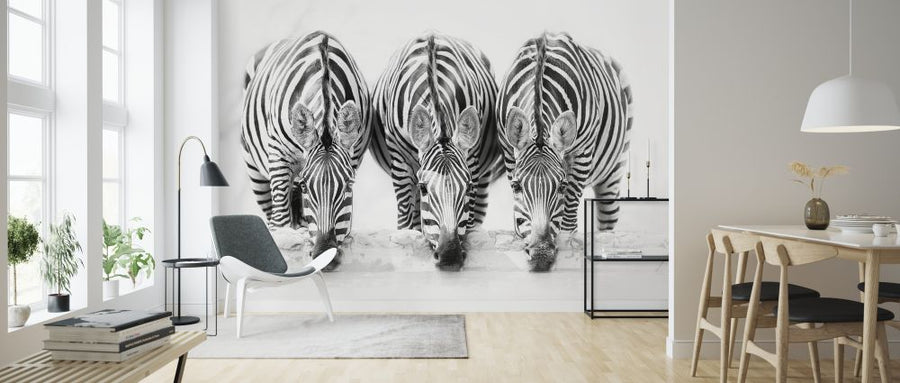 PHOTOWALL / Zebras (e324437)