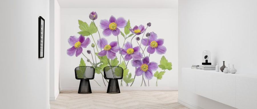 PHOTOWALL / Anemone Hadspen Abundance (e324441)