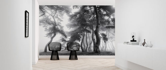 PHOTOWALL / Endure for a Hundred Years (e324443)