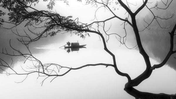 PHOTOWALL / Fog (e324450)