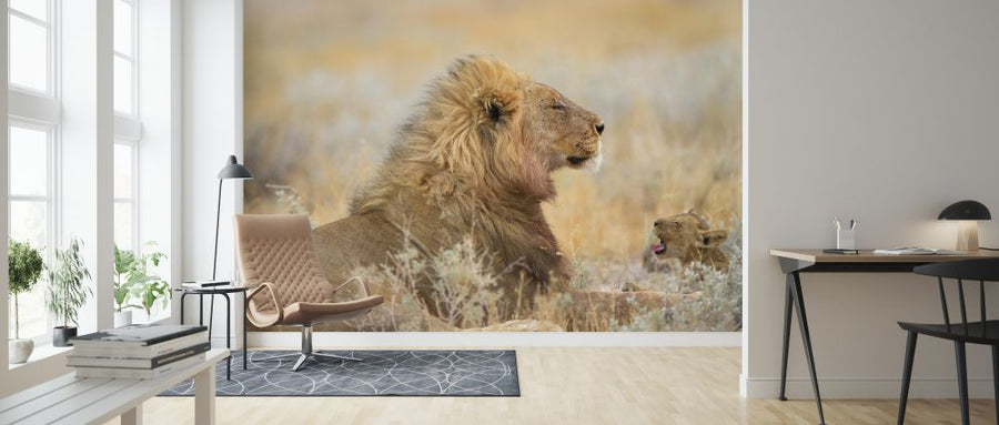 PHOTOWALL / Male Lion with Cub (e324469)