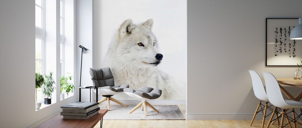 PHOTOWALL / Portrait of an Arctic Wolf (e324475) | 輸入壁紙
