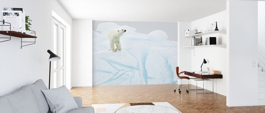 PHOTOWALL / Polar Bear on Iceberg (e324477)