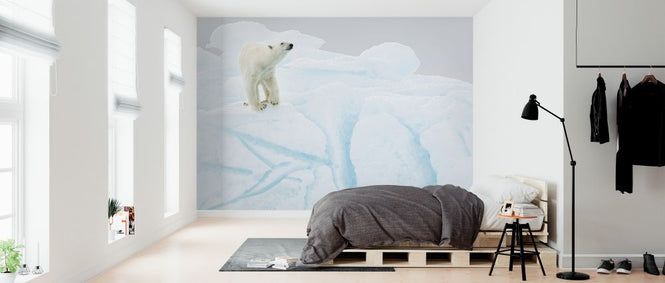 PHOTOWALL / Polar Bear on Iceberg (e324477)