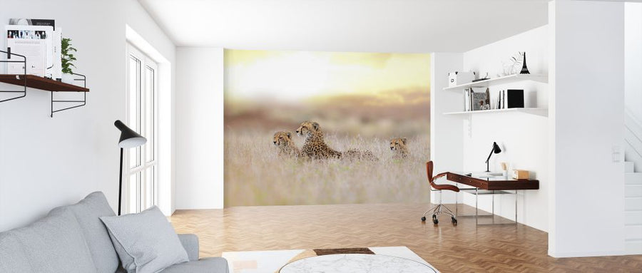 PHOTOWALL / Cheetah Family (e324478)