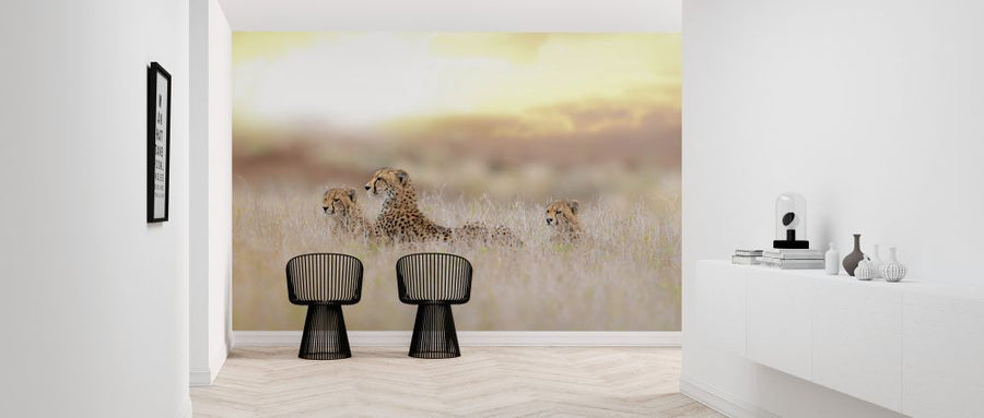 PHOTOWALL / Cheetah Family (e324478)