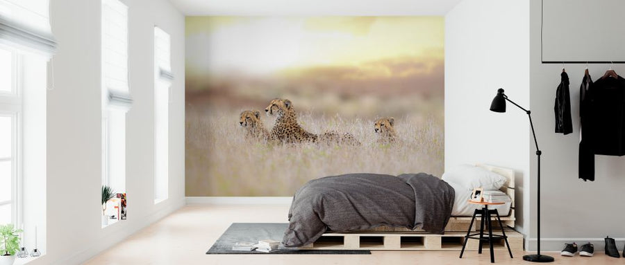 PHOTOWALL / Cheetah Family (e324478)