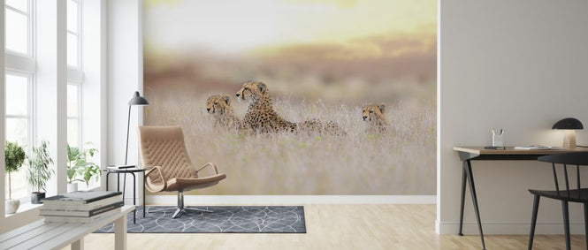 PHOTOWALL / Cheetah Family (e324478)