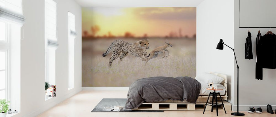 PHOTOWALL / Cheetah Hunting a Gazelle (e324479)