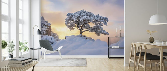 PHOTOWALL / Cold Loner (e324486)