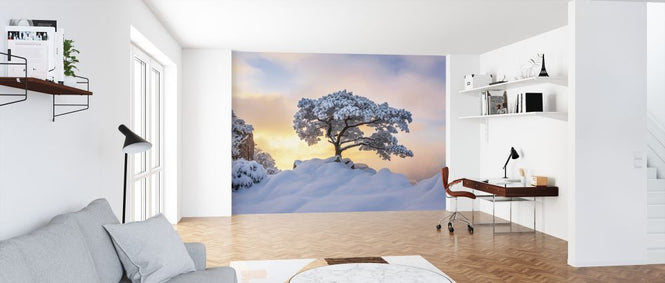 PHOTOWALL / Cold Loner (e324486)
