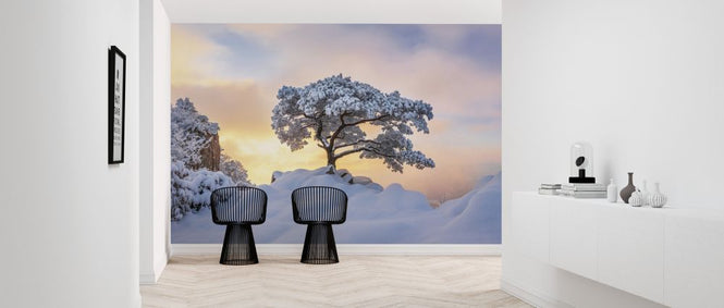 PHOTOWALL / Cold Loner (e324486)