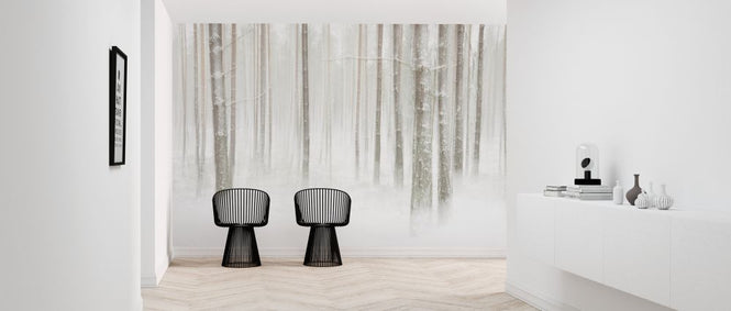 PHOTOWALL / Winterforest in Sweden (e324487)