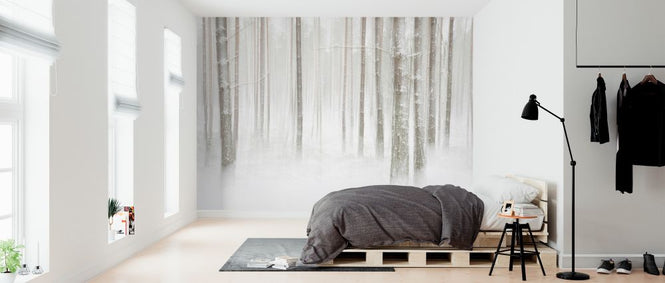 PHOTOWALL / Winterforest in Sweden (e324487)