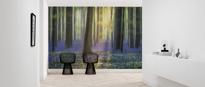 PHOTOWALL / Daydreaming of Bluebells (e324510)