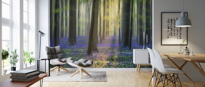 PHOTOWALL / Daydreaming of Bluebells (e324510)