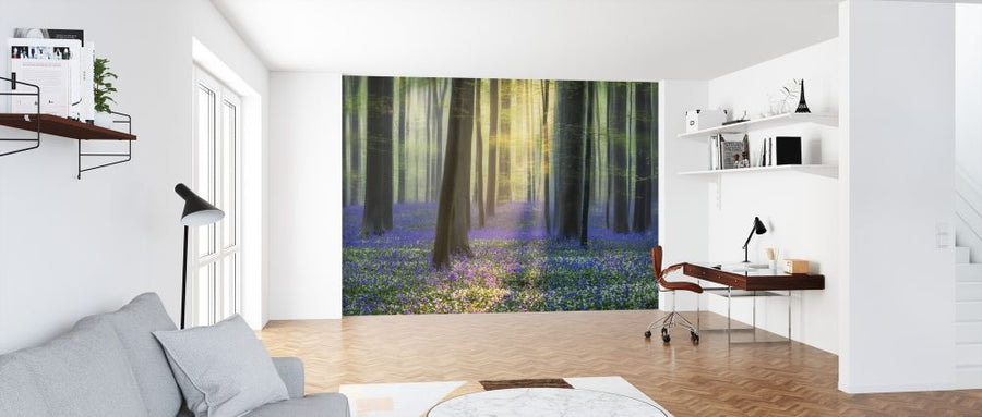 PHOTOWALL / Daydreaming of Bluebells (e324510)