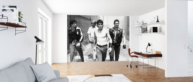 PHOTOWALL / Rumble Fish (e326048)