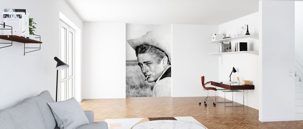 絵画『ジェームス・ディーン』ヘイ平山画 61VezhAMApL._AC_UL210_SR210,