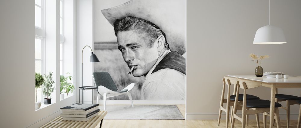 絵画『ジェームス・ディーン』ヘイ平山画 61VezhAMApL._AC_UL210_SR210,