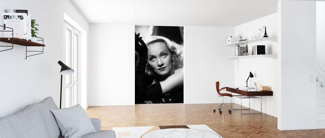 PHOTOWALL / Marlene Dietrich II (e326065)