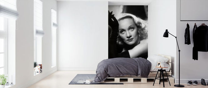 PHOTOWALL / Marlene Dietrich II (e326065)