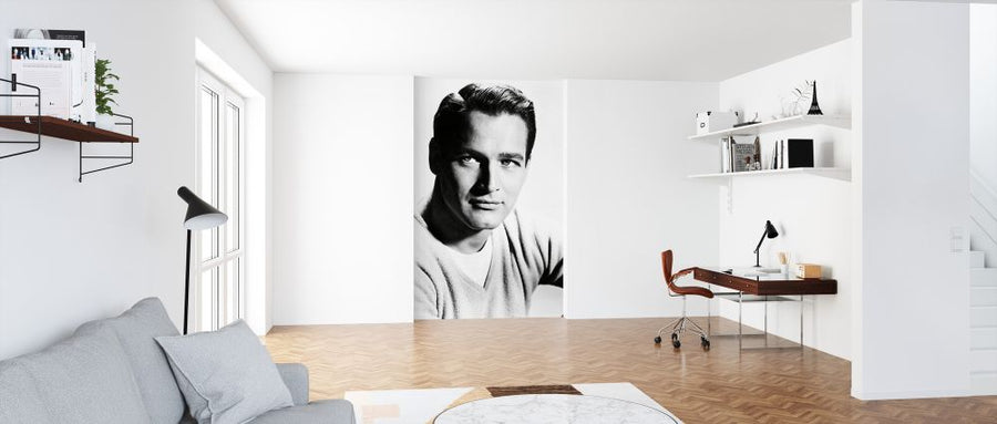 PHOTOWALL / Paul Newman (e326072)