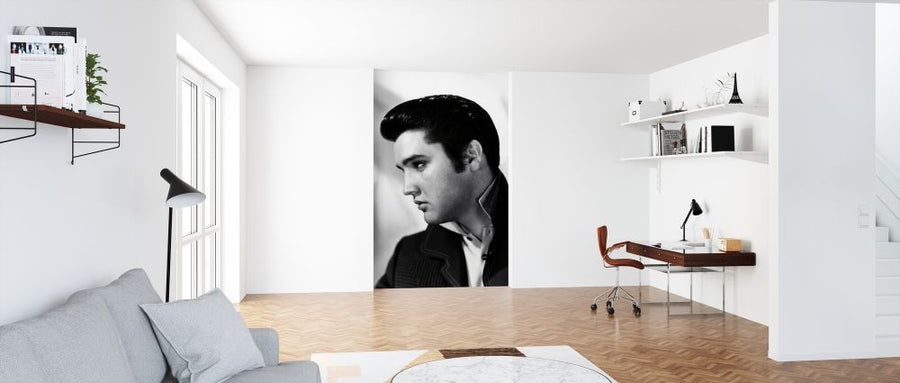 PHOTOWALL / Elvis Presley (e326074)