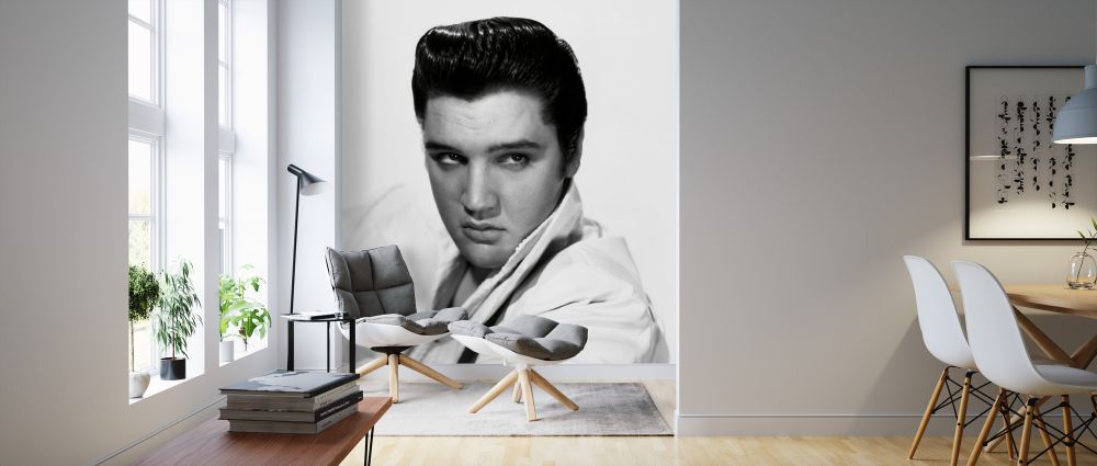 PHOTOWALL / Elvis Presley (e326075) | 輸入壁紙専門店 WALPA – WALPA.jp