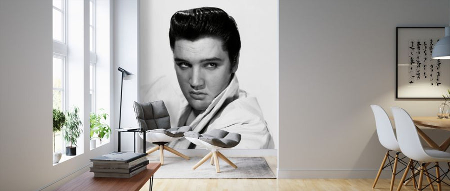 PHOTOWALL / Elvis Presley (e326075)
