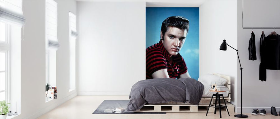 PHOTOWALL / Elvis Presley (e326082)
