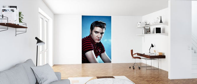 PHOTOWALL / Elvis Presley (e326082)
