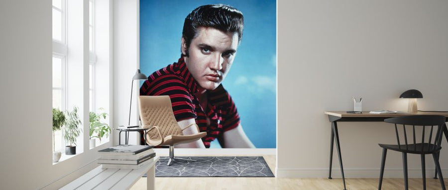 PHOTOWALL / Elvis Presley (e326082)
